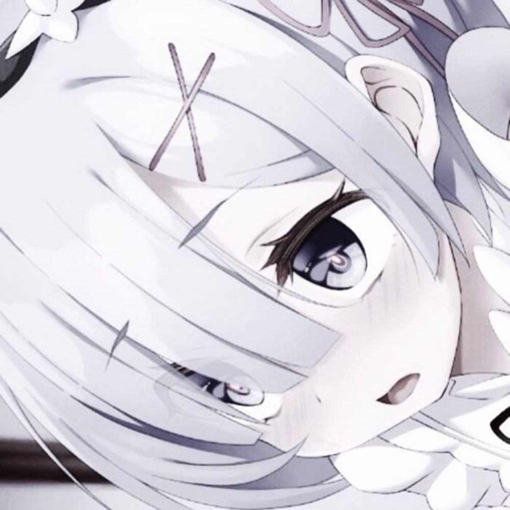 Meet your Posher, Rei